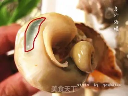 Make Ginger conch step 8
