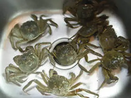 Make Crabs step 1