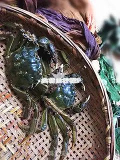Make Fresh crabs step 2