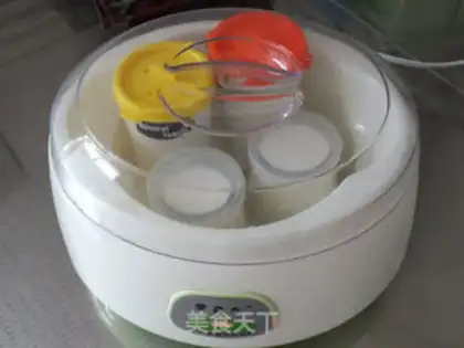 Make Cranberry yogurt step 7