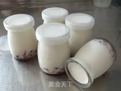 Make Cranberry yogurt step 8