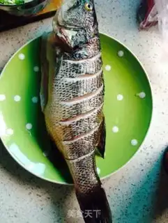 Make Frozen bass step 0