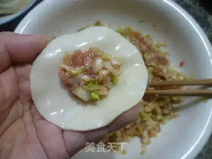 Make Pork dumplings step 9