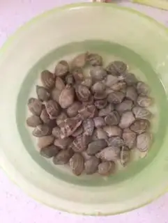 Make Quickie clams step 0
