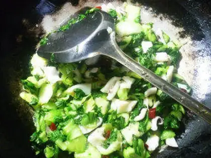 Make Squid