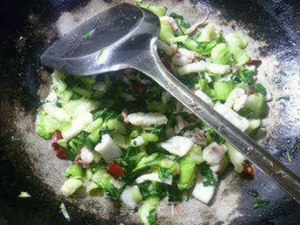 Make Squid