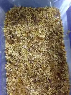 Make Cinnamon step 3