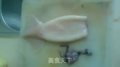 Make Squid step 0