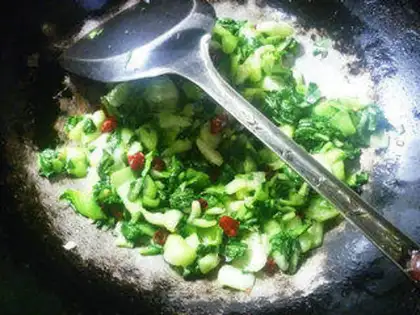 Make Squid