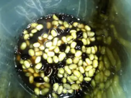 Make Soy sauce step 6