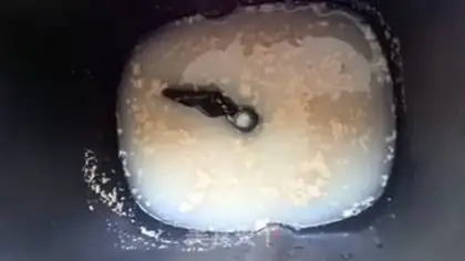 Make Corn toast step 0