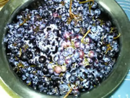 Make Mallory grape juice step 0