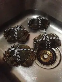 Make Crabs step 0