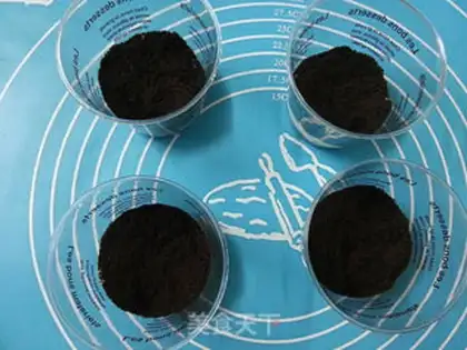 Make Blueberry drywood cake step 9