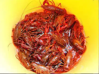 Make Taste lobster step 0
