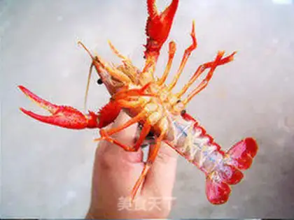 Make Taste lobster step 2