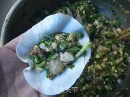 Make Meat dumplings step 17
