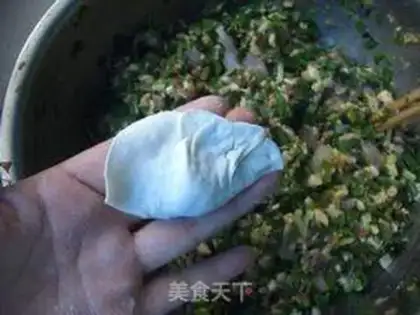 Make Meat dumplings step 18