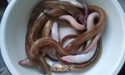 Make Red eels step 0