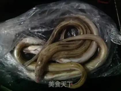 Make Red eels step 2