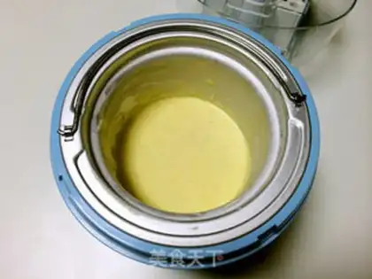 Make Vanilla ice cream step 14
