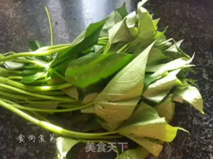 Make Garlic seedlings step 0