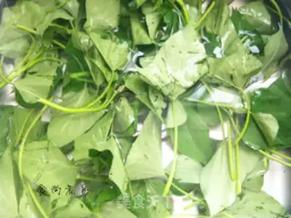 Make Garlic seedlings step 2