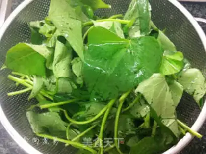 Make Garlic seedlings step 3