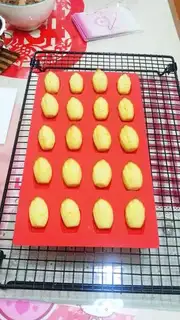 Make Madeleine step 19