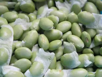 Make Pickle beans step 0