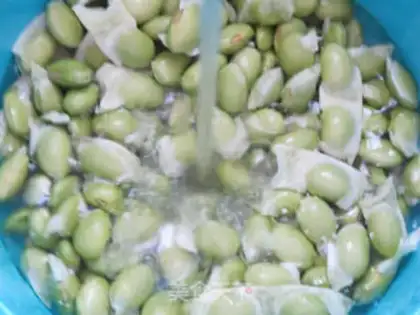 Make Pickle beans step 1