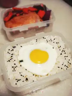 Make Solar meat step 10