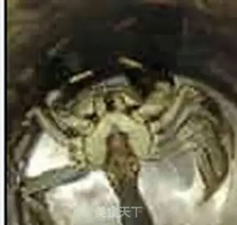 Make Spicy spicy crabs step 2