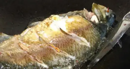 Make The Chang-Chang Fish step 9