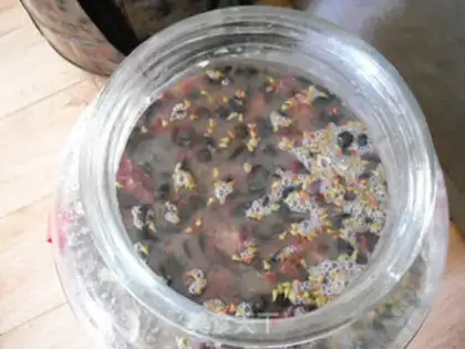 Make ♪ Make the black pearl dry red ♪ step 12