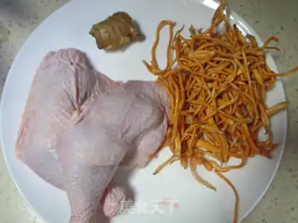 Make Duck stew for worms step 0