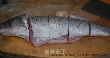 Make Squidfish step 1
