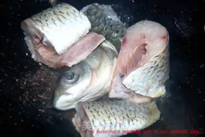 Make Squidfish step 3
