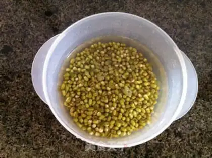 Make Homemade green bean pie step 0