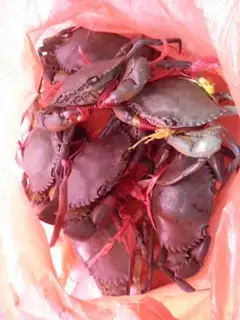 Make Crabs in the hot pot step 0