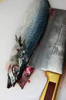 Make Paparotti step 18