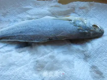 Make Red-burned yellowfish step 2