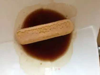 Make Tiramisu step 19