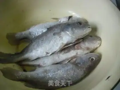 Make Squirt the yellowfish step 0