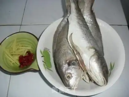 Make Squirt the yellowfish step 1