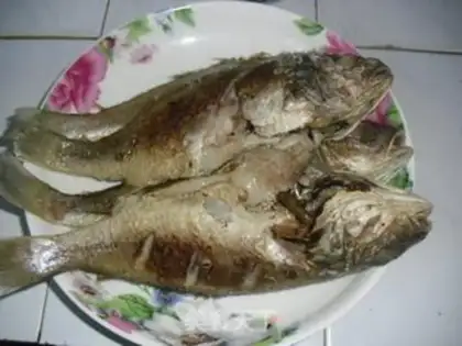 Make Squirt the yellowfish step 3
