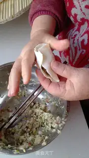 Make Pork dumplings step 19
