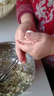 Make Pork dumplings step 20
