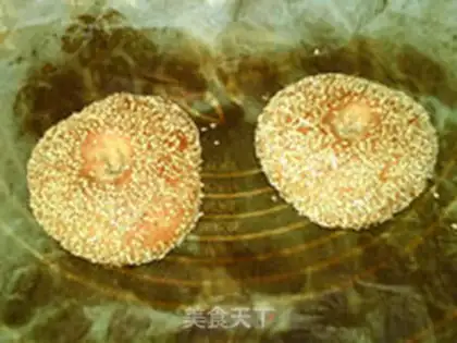 Make All-shell bread step 16