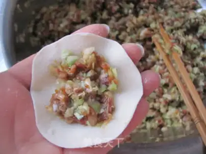 Make The cabbage dumplings step 9